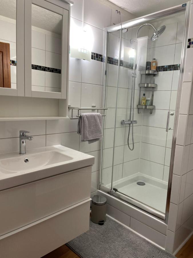 Appartement La Petite Venise Κολμάρ Εξωτερικό φωτογραφία